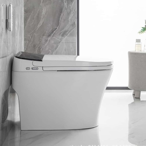 Modern Design Electric Smart Toilet