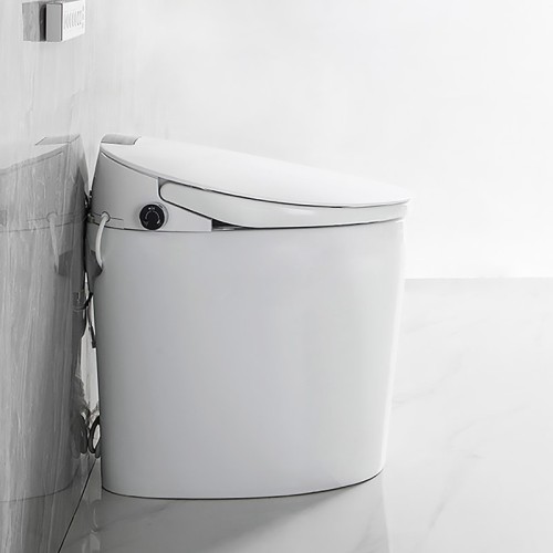 Free-standing Bidet Toilet for Small Bathroom 