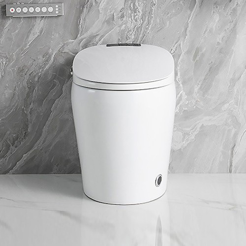 Free-standing Bidet Toilet for Small Bathroom