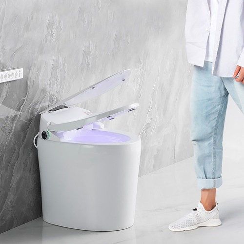 Free-standing Bidet Toilet for Small Bathroom