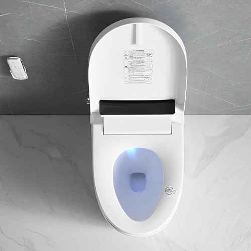 Advanced Japanese Bidet Toilet