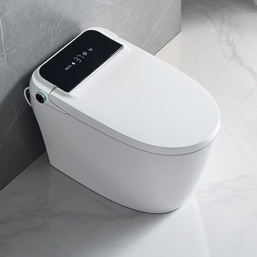 Advanced Japanese Bidet Toilet 