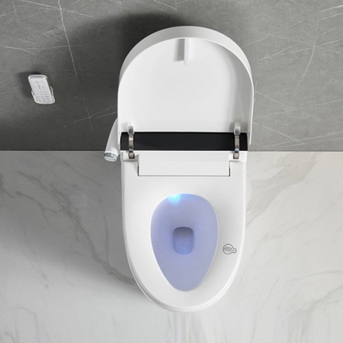 Remote Control Smart Toilet