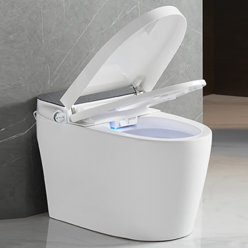 Remote Control Smart Toilet