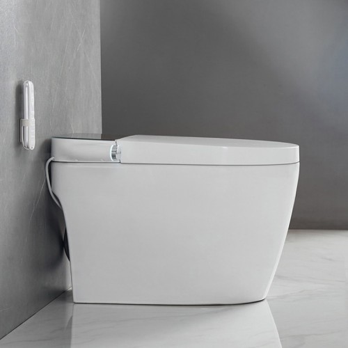 Remote Control Smart Toilet