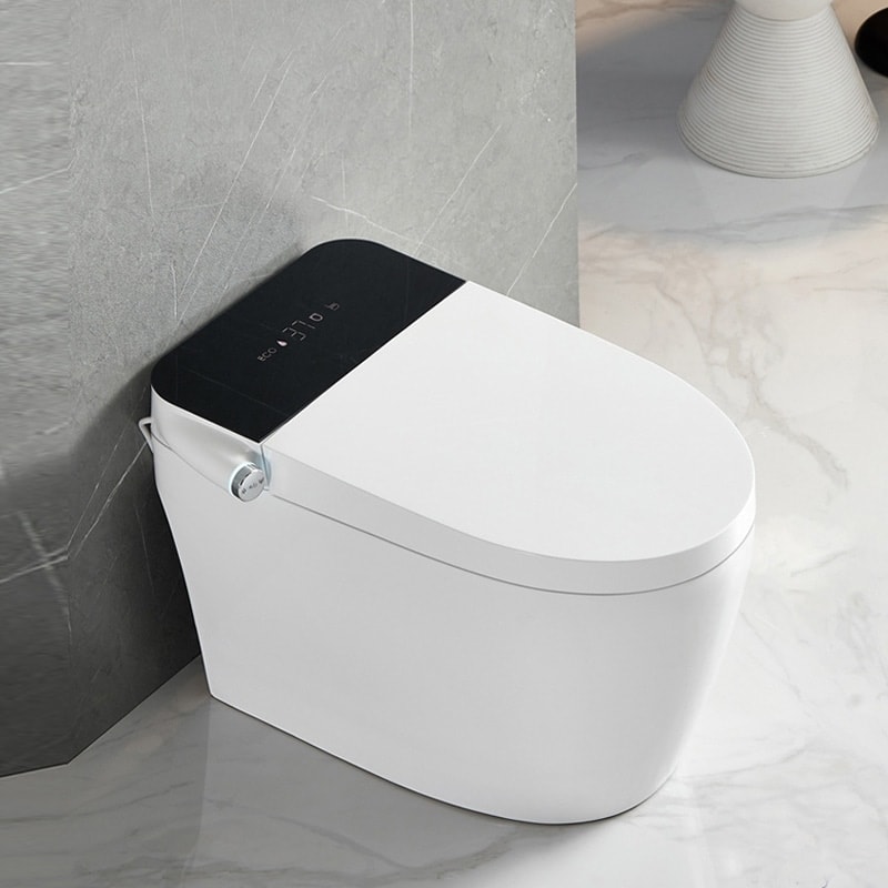 Remote Control Smart Toilet