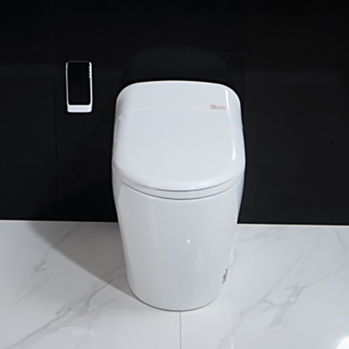 Bathroom Watermark Toilet with Dual Flush Valve