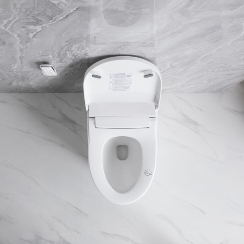 Luxury Electric Bidet Toilet