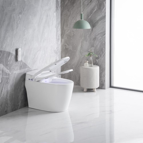 Luxury Electric Bidet Toilet 