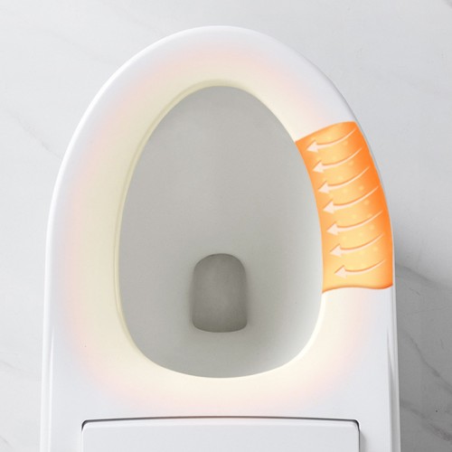 Luxury Electric Bidet Toilet