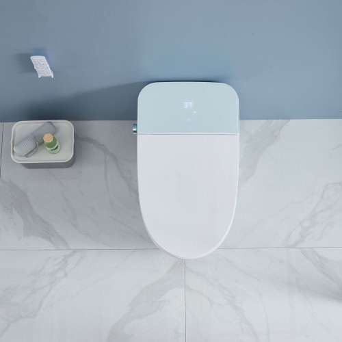 Antibacterial Intelligent Bidet Toilet