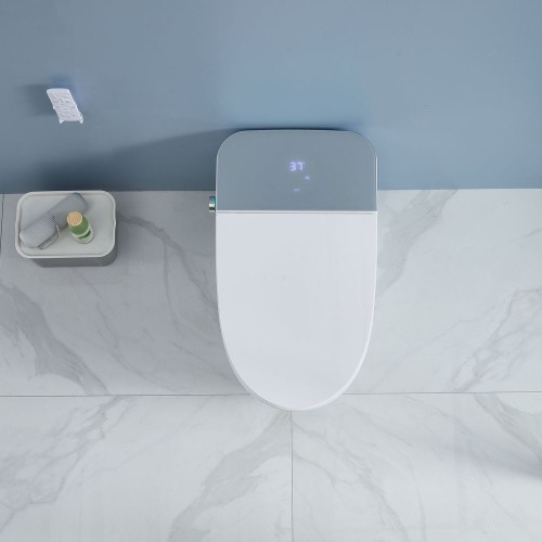 Antibacterial Intelligent Bidet Toilet