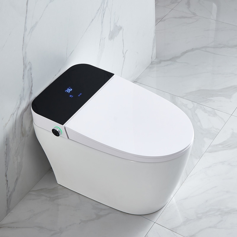 Antibacterial Intelligent Bidet Toilet