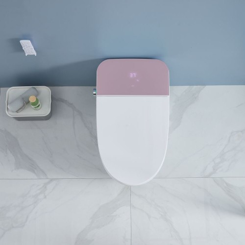 Antibacterial Intelligent Bidet Toilet 