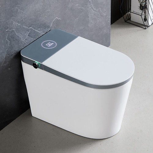 Automatic Flushing Intelligent Toilet for Home