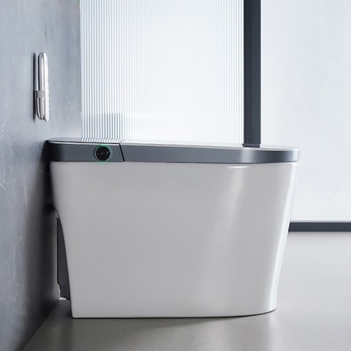 Automatic Flushing Intelligent Toilet for Home 