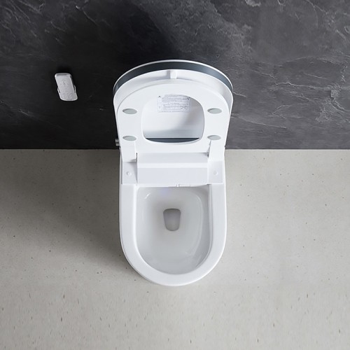 Automatic Flushing Intelligent Toilet for Home