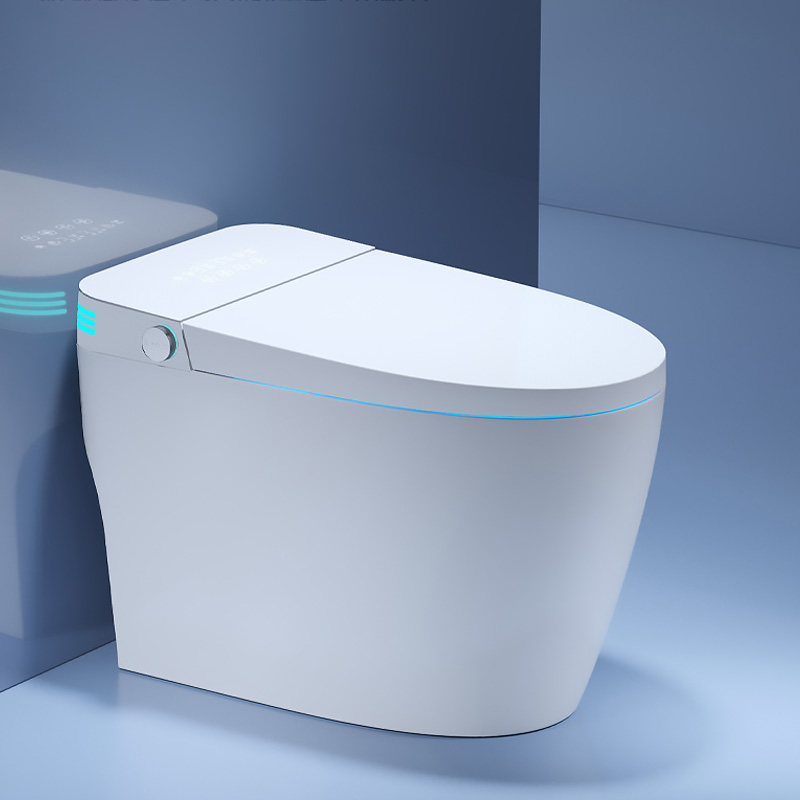 Compact Rimless Ergonomic Toilet Factory