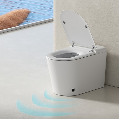 Ultra Slim Japanese High Tech Bidet Toilet