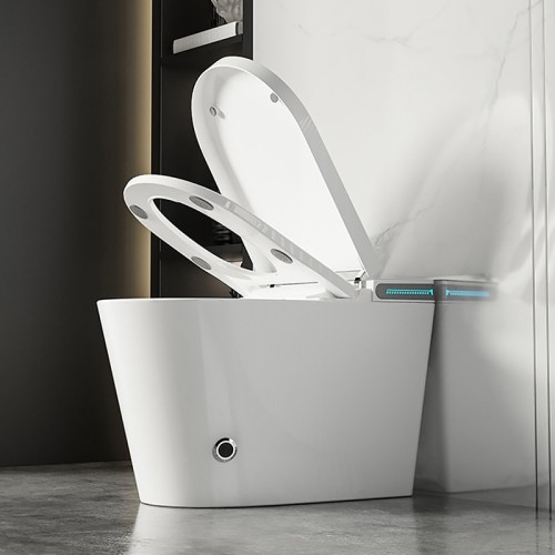 Automatic Western Toilet With Bidet