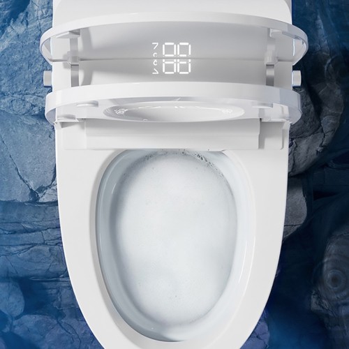 Comfort Height Short Projection Toilet