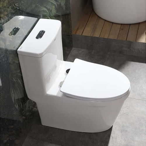 Siphonic One Piece Toilet