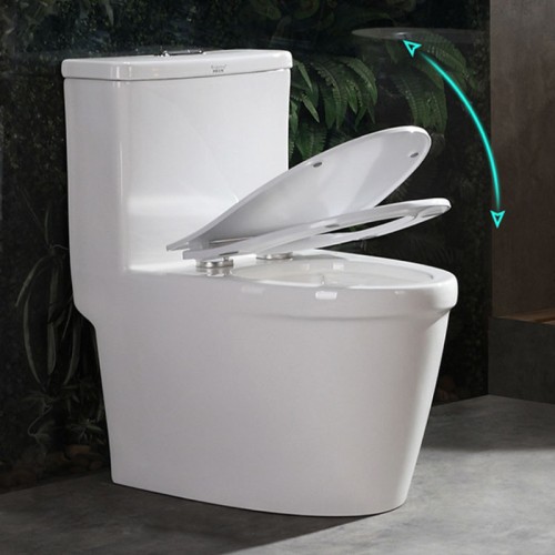 Siphonic One Piece Toilet