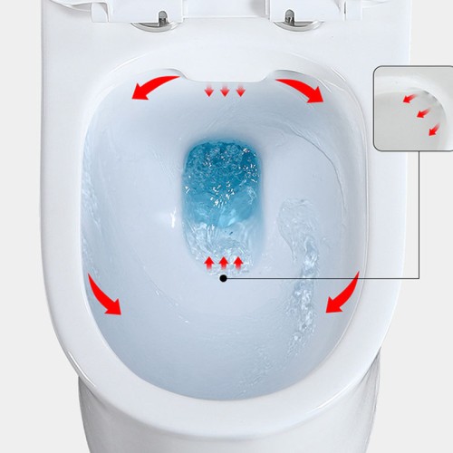 Double Vortex Flush Toilet Bowl