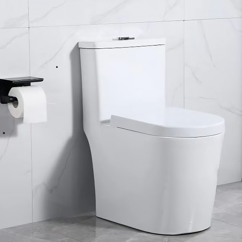 Double Vortex Flush Toilet Bowl