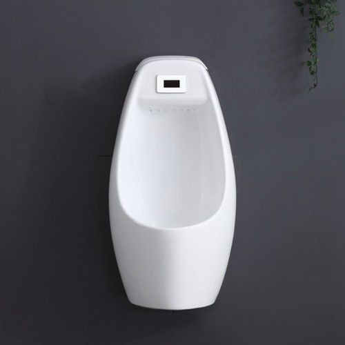 Floor Standing Automatic Flush Urinal 