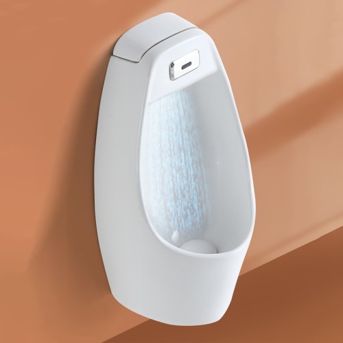 Wall Hung Urinal With Sensor Flush