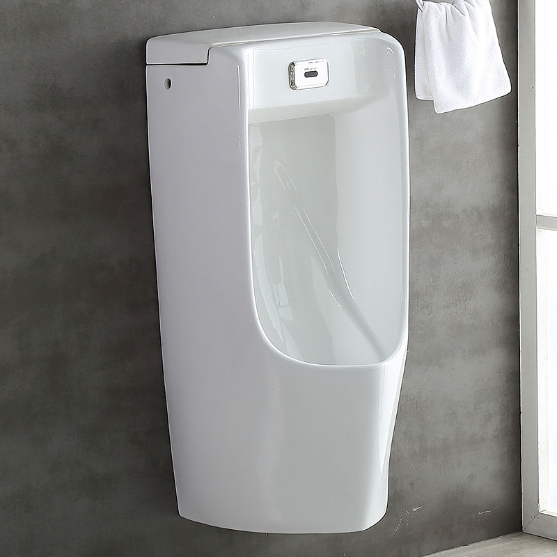 China Floor and Wall Electric Urinal