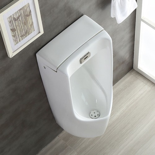 China Floor and Wall Electric Urinal