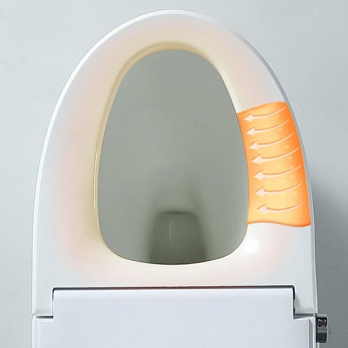 Self Cleaning Bidet Toilet Seat