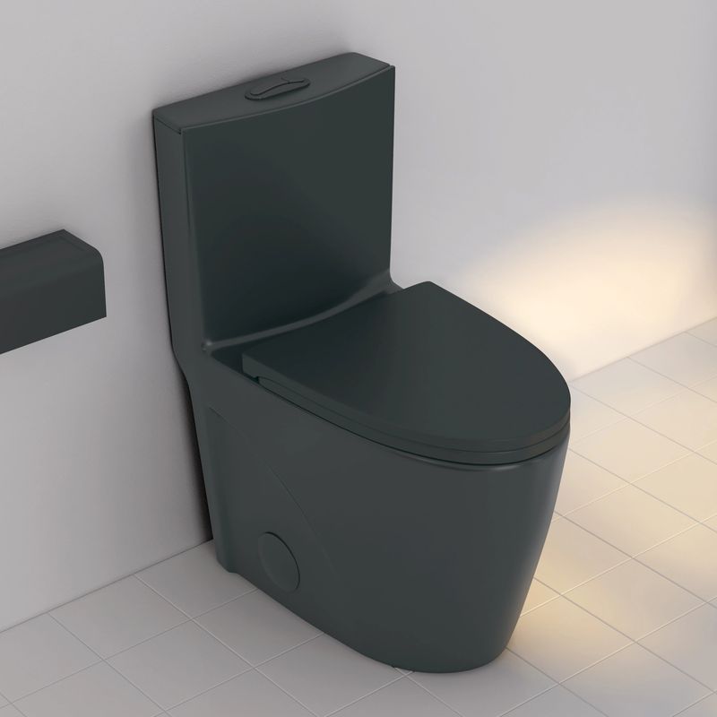 Are Black Toilets Popular