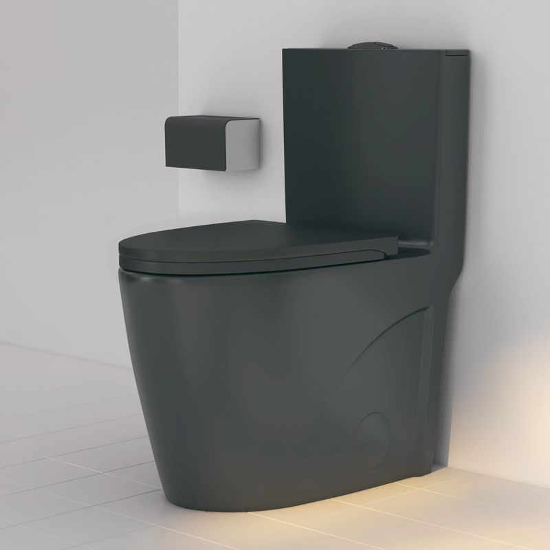 Black Toilet Bowl