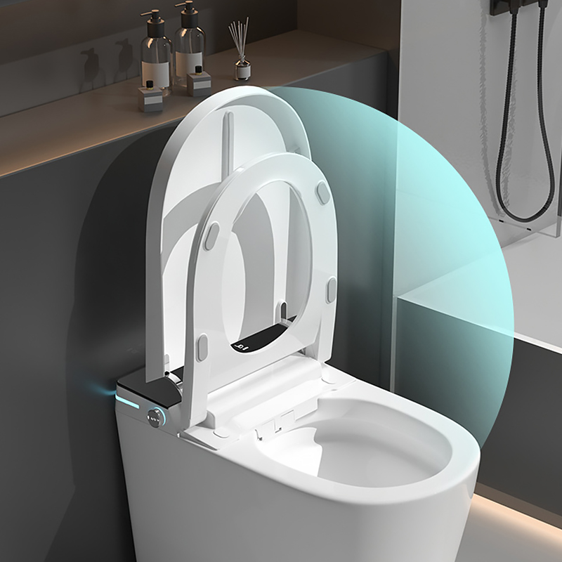 Quiet Close Toilet Seat