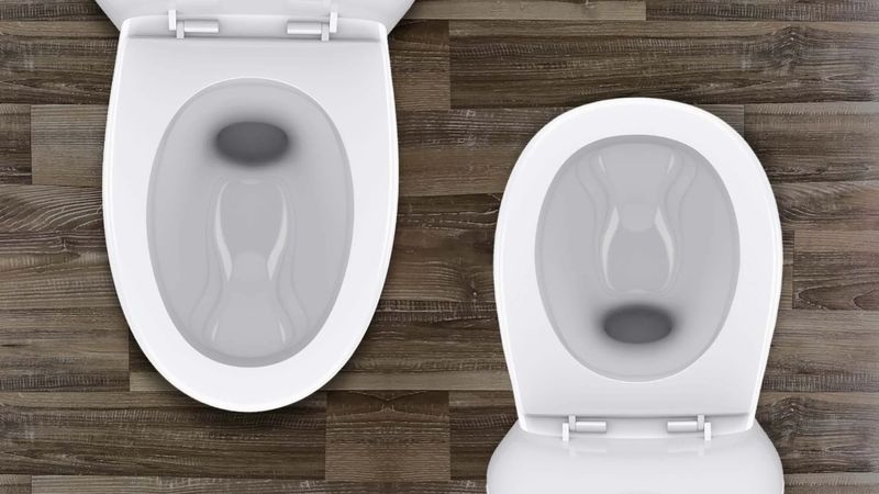 Elongated Toilet vs Round Toilet