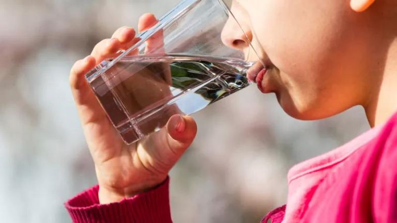 es seguro beber agua del bano