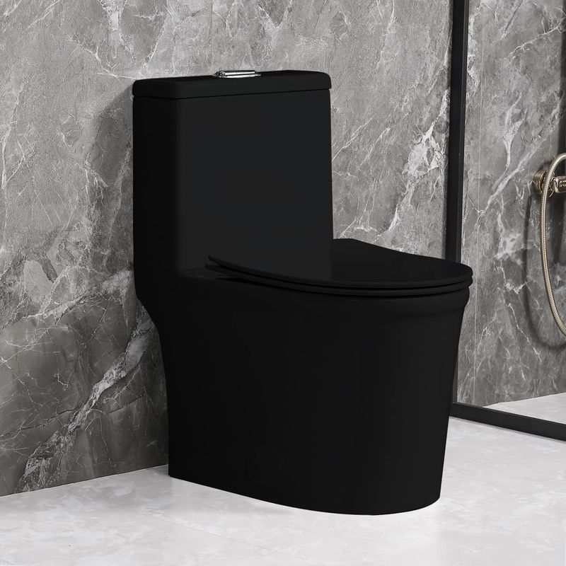 Black porcelain toilet