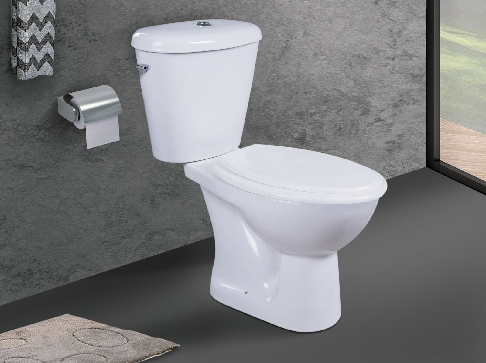 Two Piece Toilet Maintenance