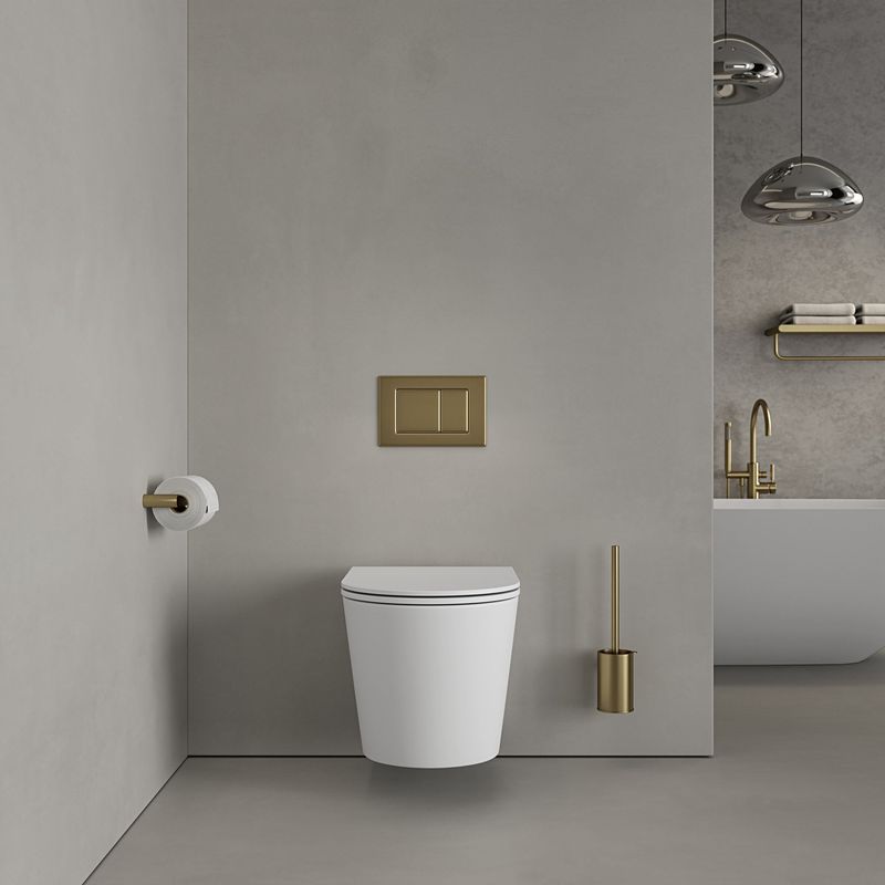 Rimless Wall Hung Toilet