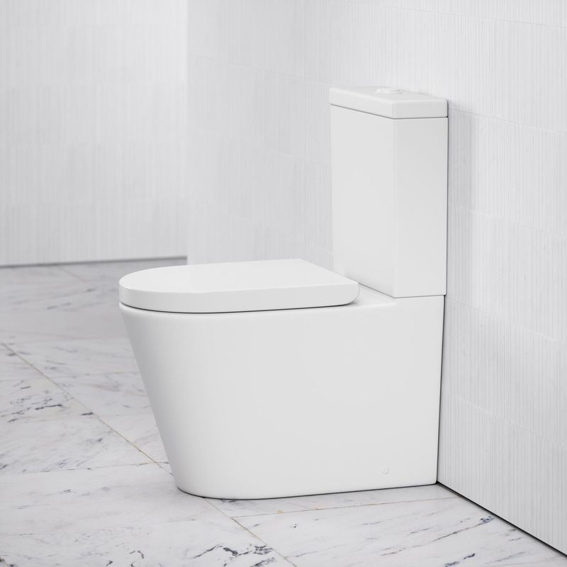 Rimless Toilet Pros and Cons | Will You Go Rimless?  