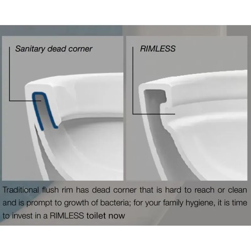 What is a Rimless Toilet