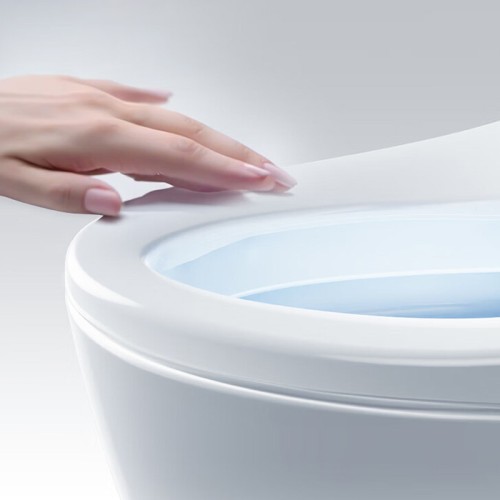 Non Electric Bidet Toilet Seat