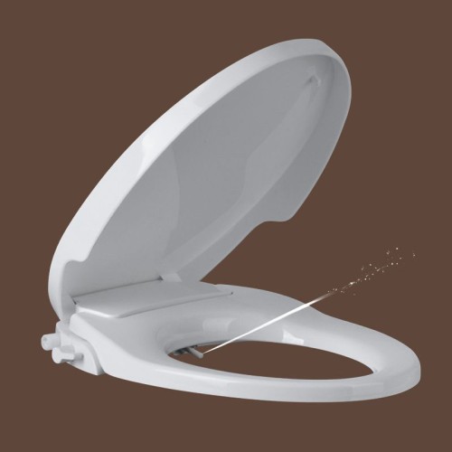 Non Electric Bidet Toilet Seat