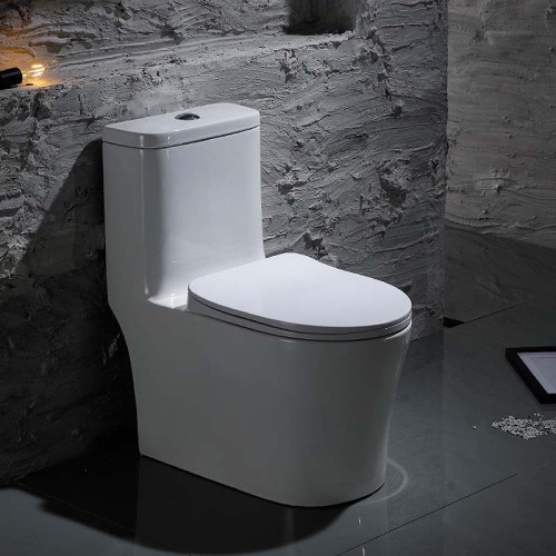 Contemporary Back to Wall Floor Mounted Toilet