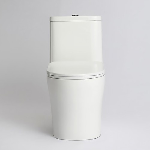 Contemporary Back to Wall Floor Mounted Toilet