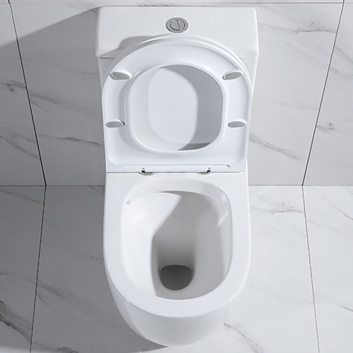 Close Coupled Back to Wall Toilet