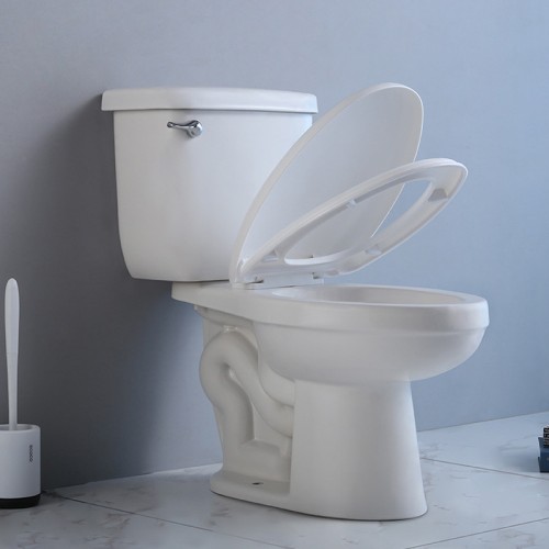 Ultra High Efficiency 0.8 GPF Single Flush Toilet